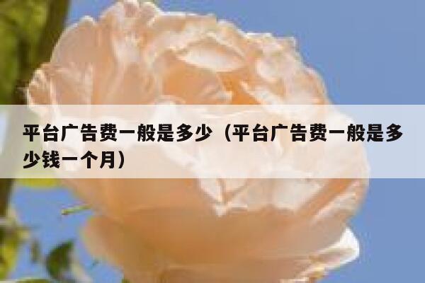 平台广告费一般是多少（平台广告费一般是多少钱一个月） 第1张