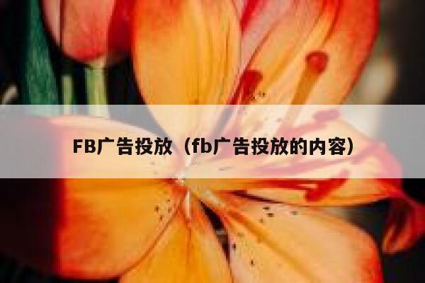 FB广告投放（fb广告投放的内容） 第1张