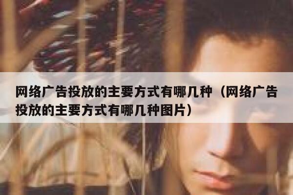 网络广告投放的主要方式有哪几种（网络广告投放的主要方式有哪几种图片） 第1张