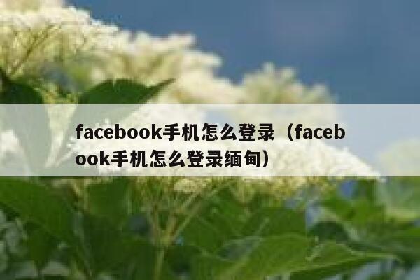 facebook手机怎么登录（facebook手机怎么登录缅甸） 第1张
