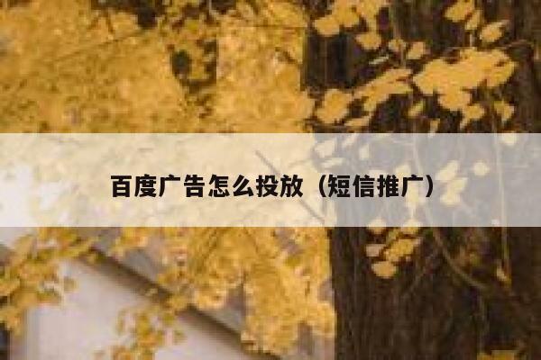 百度广告怎么投放（短信推广） 第1张