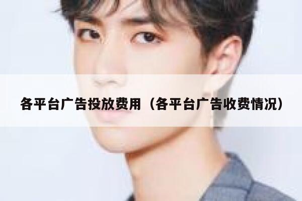 各平台广告投放费用（各平台广告收费情况） 第1张