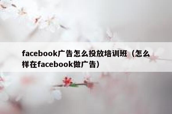 facebook广告怎么投放培训班(怎么样在facebook做广告) 第1张 facebook广告怎么投放培训班(怎么样在facebook做广告) 第1张