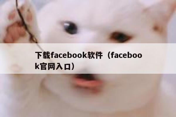 下载facebook软件（facebook官网入口） 第1张