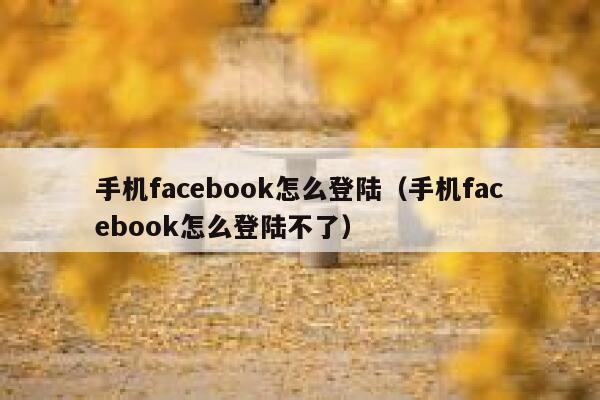 手机facebook怎么登陆（手机facebook怎么登陆不了） 第1张