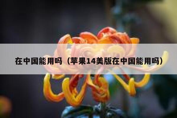 在中国能用吗（苹果14美版在中国能用吗） 第1张