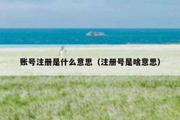 账号注册是什么意思（注册号是啥意思） 第1张