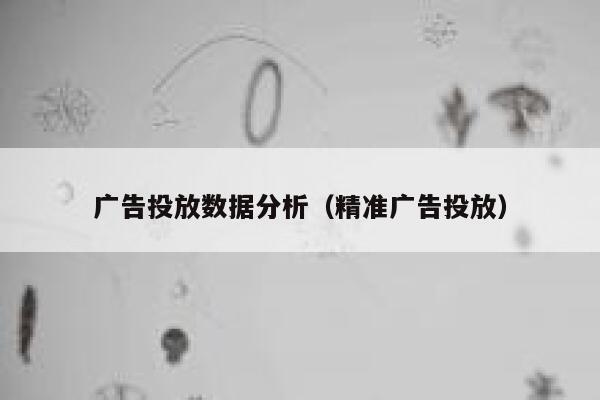 广告投放数据分析（精准广告投放） 第1张