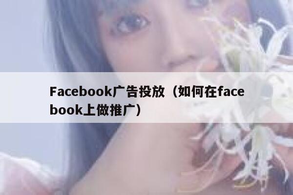 Facebook广告投放（如何在facebook上做推广） 第1张