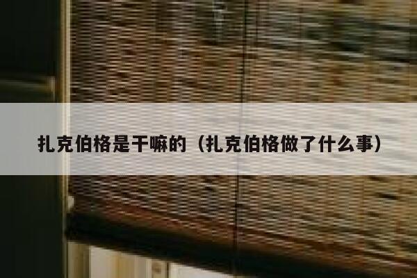 扎克伯格是干嘛的（扎克伯格做了什么事） 第1张