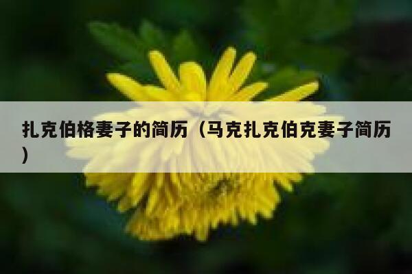 扎克伯格妻子的简历（马克扎克伯克妻子简历） 第1张