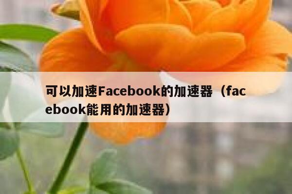 可以加速Facebook的加速器(facebook能用的加速器) 第1张 可以加速Facebook的加速器(facebook能用的加速器) 第1张