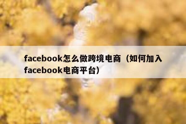 facebook怎么做跨境电商（如何加入facebook电商平台） 第1张