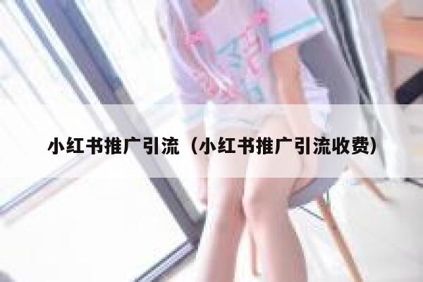 小红书推广引流（小红书推广引流收费） 第1张