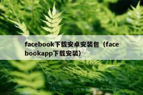 facebook下载安卓安装包（facebookapp下载安装） 第1张