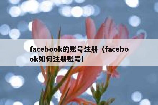 facebook的账号注册（facebook如何注册账号） 第1张