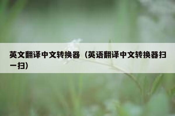 英文翻译中文转换器(英语翻译中文转换器扫一扫) 第1张 英文翻译中文转换器(英语翻译中文转换器扫一扫) 第1张