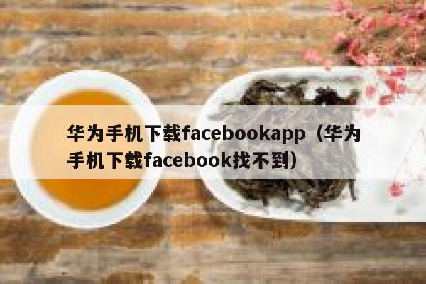 华为手机下载facebookapp（华为手机下载facebook找不到） 第1张