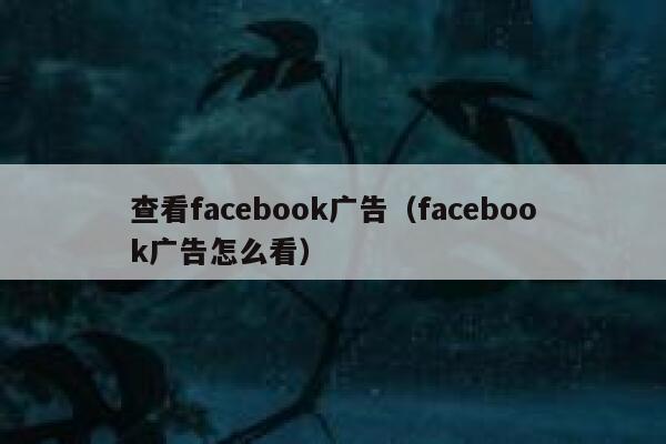 查看facebook广告（facebook广告怎么看） 第1张