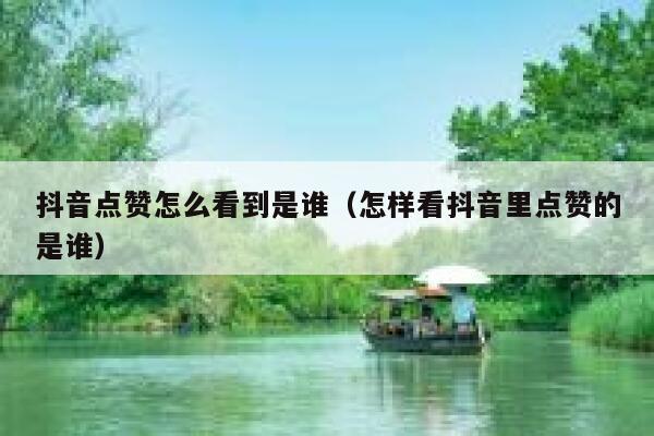 抖音点赞怎么看到是谁（怎样看抖音里点赞的是谁） 第1张