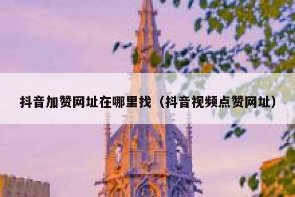 抖音加赞网址在哪里找（抖音视频点赞网址） 第1张