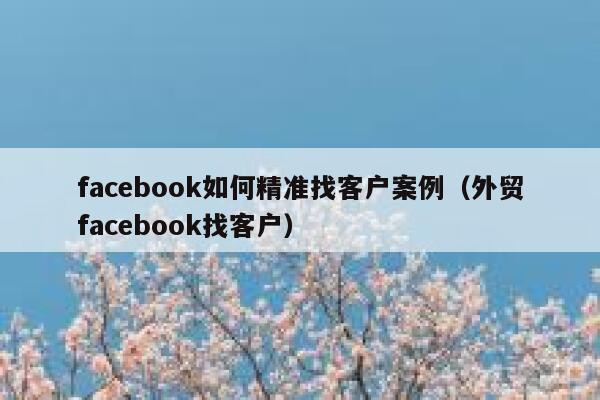 facebook如何精准找客户案例（外贸facebook找客户） 第1张