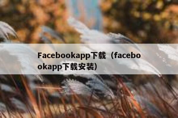 Facebookapp下载（facebookapp下载安装） 第1张
