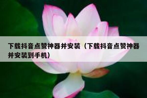下载抖音点赞神器并安装（下载抖音点赞神器并安装到手机） 第1张