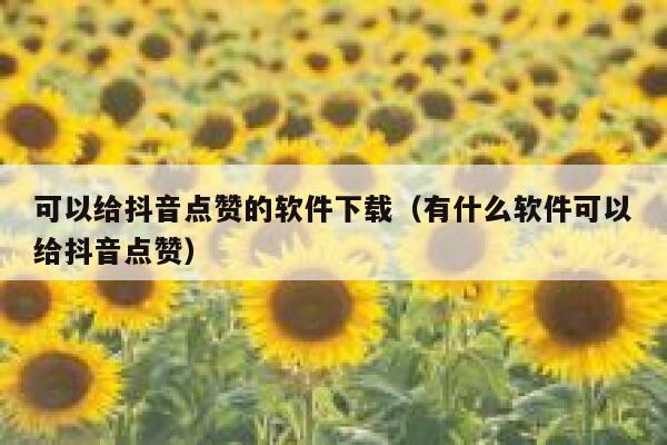 可以给抖音点赞的软件下载（有什么软件可以给抖音点赞） 第1张