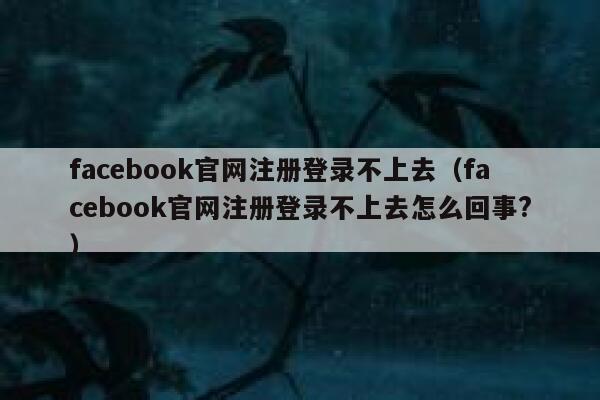 facebook官网注册登录不上去（facebook官网注册登录不上去怎么回事?） 第1张
