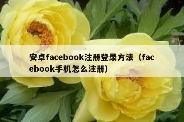 安卓facebook注册登录方法（facebook手机怎么注册） 第1张