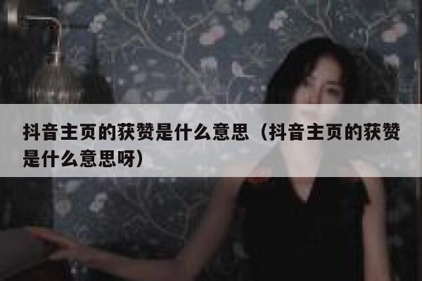 抖音主页的获赞是什么意思（抖音主页的获赞是什么意思呀） 第1张