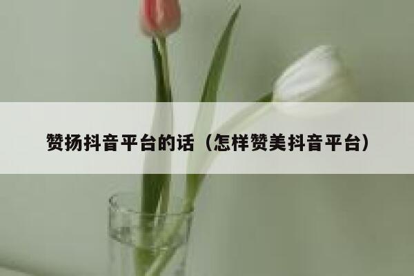 赞扬抖音平台的话(怎样赞美抖音平台) 第1张 赞扬抖音平台的话(怎样赞美抖音平台) 第1张