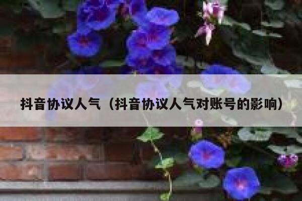 抖音协议人气（抖音协议人气对账号的影响） 第1张