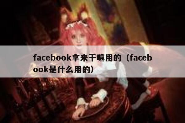 facebook拿来干嘛用的（facebook是什么用的） 第1张