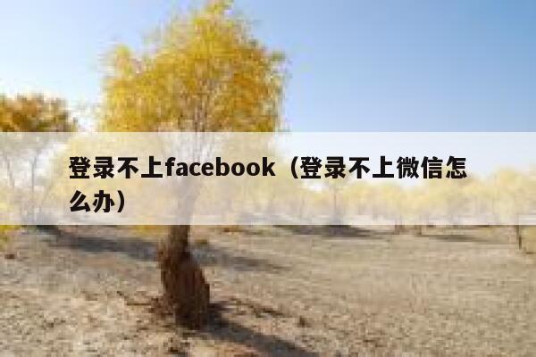 登录不上facebook（登录不上微信怎么办） 第1张
