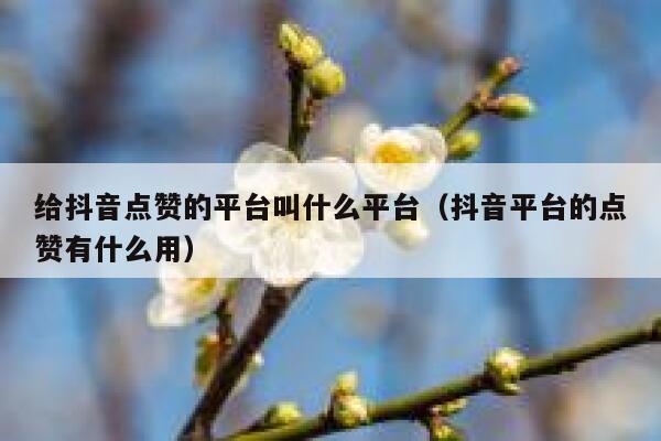 给抖音点赞的平台叫什么平台（抖音平台的点赞有什么用） 第1张