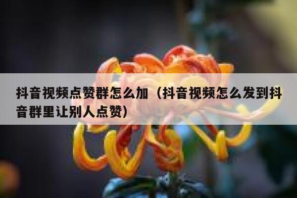 抖音视频点赞群怎么加（抖音视频怎么发到抖音群里让别人点赞） 第1张
