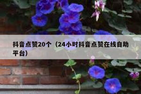 抖音点赞20个（24小时抖音点赞在线自助平台） 第1张