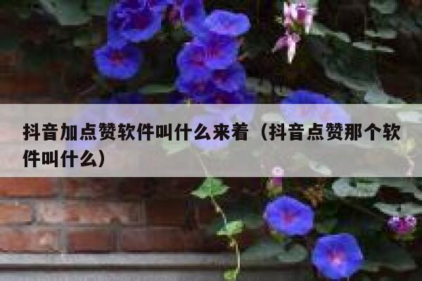 抖音加点赞软件叫什么来着（抖音点赞那个软件叫什么） 第1张