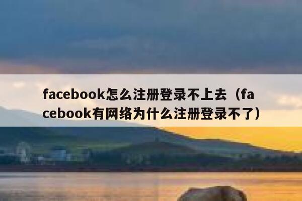 facebook怎么注册登录不上去（facebook有网络为什么注册登录不了） 第1张
