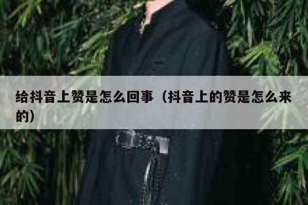 给抖音上赞是怎么回事（抖音上的赞是怎么来的） 第1张