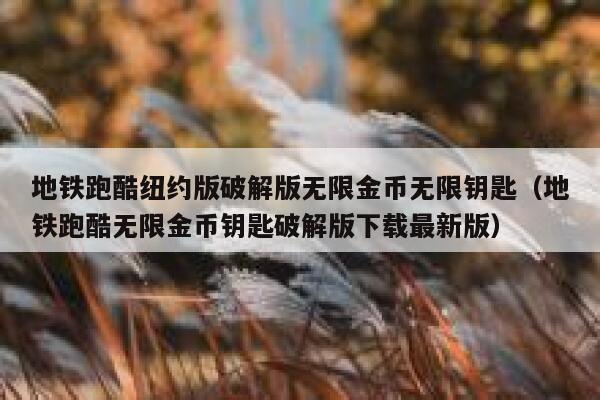 地铁跑酷纽约版破解版无限金币无限钥匙（地铁跑酷无限金币钥匙破解版下载最新版） 第1张