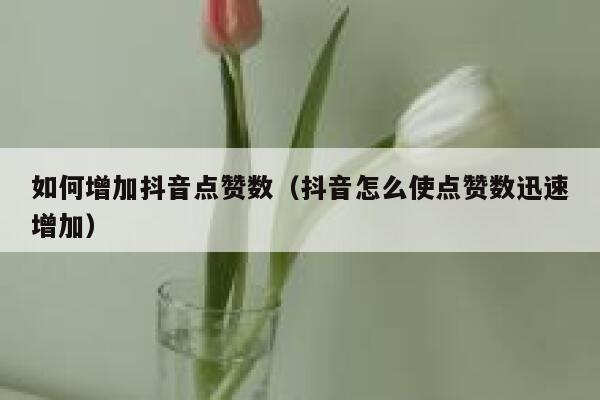 如何增加抖音点赞数(抖音怎么使点赞数迅速增加) 第1张 如何增加抖音点赞数(抖音怎么使点赞数迅速增加) 第1张