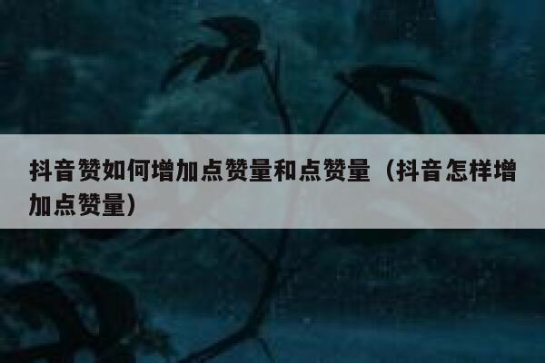 抖音赞如何增加点赞量和点赞量(抖音怎样增加点赞量) 第1张 抖音赞如何增加点赞量和点赞量(抖音怎样增加点赞量) 第1张
