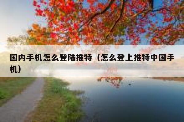 国内手机怎么登陆推特（怎么登上推特中国手机） 第1张