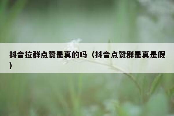 抖音拉群点赞是真的吗(抖音点赞群是真是假) 第1张 抖音拉群点赞是真的吗(抖音点赞群是真是假) 第1张