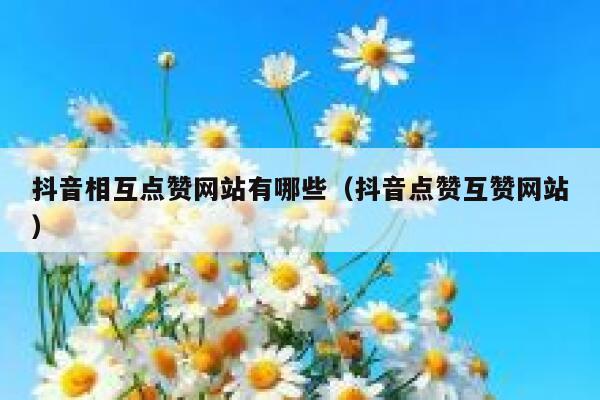抖音相互点赞网站有哪些（抖音点赞互赞网站） 第1张