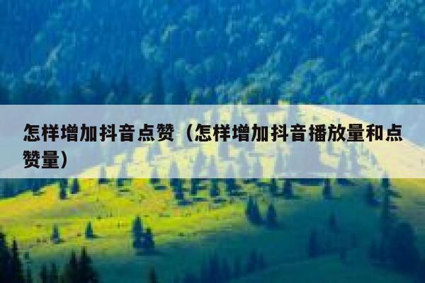 怎样增加抖音点赞(怎样增加抖音播放量和点赞量) 第1张 怎样增加抖音点赞(怎样增加抖音播放量和点赞量) 第1张