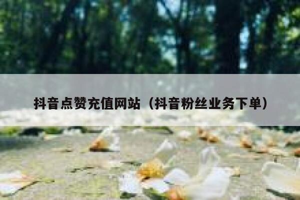 抖音点赞充值网站(抖音粉丝业务下单) 第1张 抖音点赞充值网站(抖音粉丝业务下单) 第1张